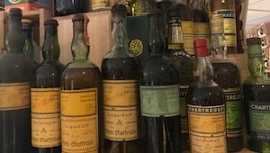 Chartreuse